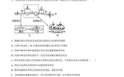生物2025-2026长春汽三高二上期末考试_2026年02月高二试卷_260209吉林省长春市长春汽车经济技术开发区第三中学2025-2026学年高二上学期期末考试（全）
