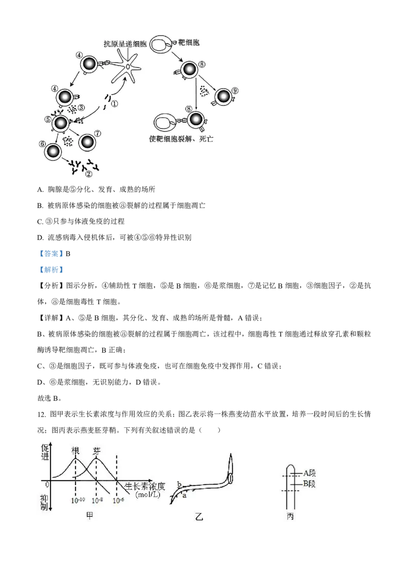 生物2025-2026长春汽三高二上期末考试_2026年02月高二试卷_260209吉林省长春市长春汽车经济技术开发区第三中学2025-2026学年高二上学期期末考试（全）
