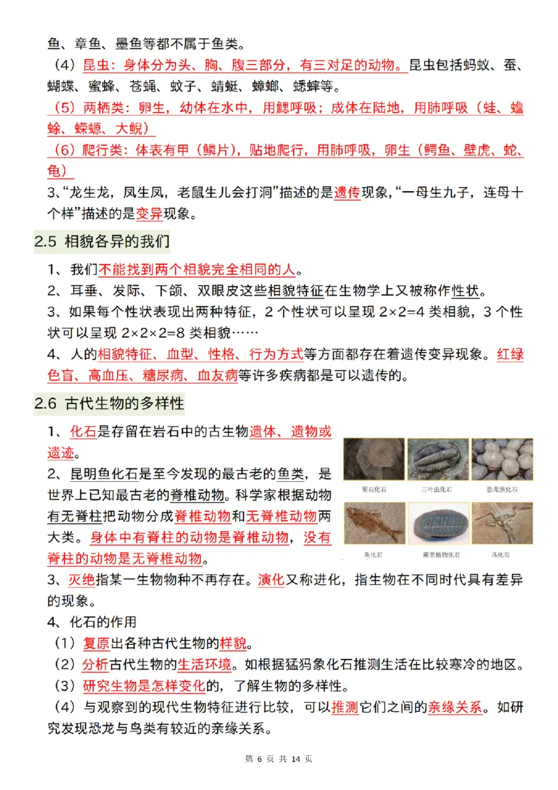 六年级（下）科学26春知识点总结《教科版》_科学道法知识点+专项练习_科学知识点+单元卷+期末卷