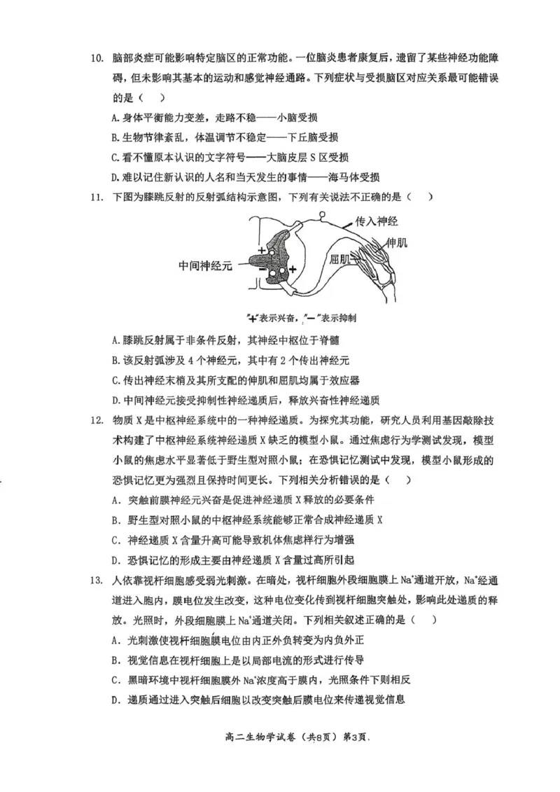 湖北黄石市2025-2026学年高二上学期2月期末生物试题（图片版，无答案）_2026年02月高二试卷_260222湖北省黄石市2025-2026学年高二上学期2月期末