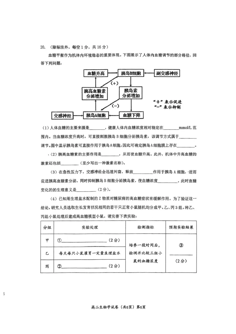 湖北黄石市2025-2026学年高二上学期2月期末生物试题（图片版，无答案）_2026年02月高二试卷_260222湖北省黄石市2025-2026学年高二上学期2月期末