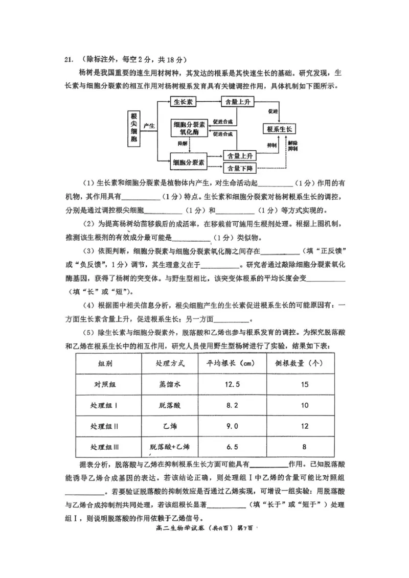 湖北黄石市2025-2026学年高二上学期2月期末生物试题（图片版，无答案）_2026年02月高二试卷_260222湖北省黄石市2025-2026学年高二上学期2月期末