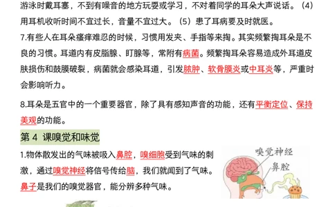 《科学期末全册考点汇编》青岛版_科学道法知识点+专项练习_科学知识点+单元卷+期末卷