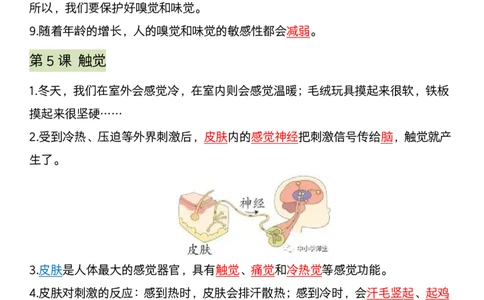 《科学期末全册考点汇编》青岛版_科学道法知识点+专项练习_科学知识点+单元卷+期末卷