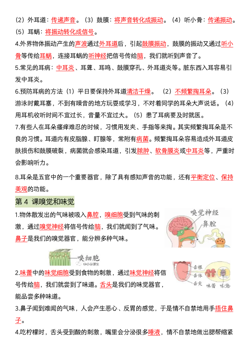 《科学期末全册考点汇编》青岛版_科学道法知识点+专项练习_科学知识点+单元卷+期末卷
