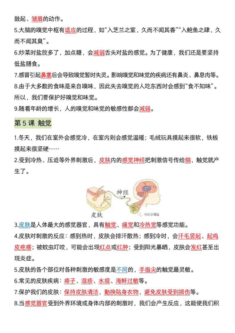 《科学期末全册考点汇编》青岛版_科学道法知识点+专项练习_科学知识点+单元卷+期末卷