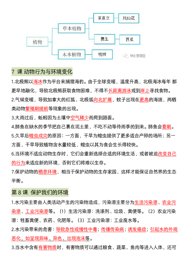 《科学期末全册考点汇编》青岛版_科学道法知识点+专项练习_科学知识点+单元卷+期末卷