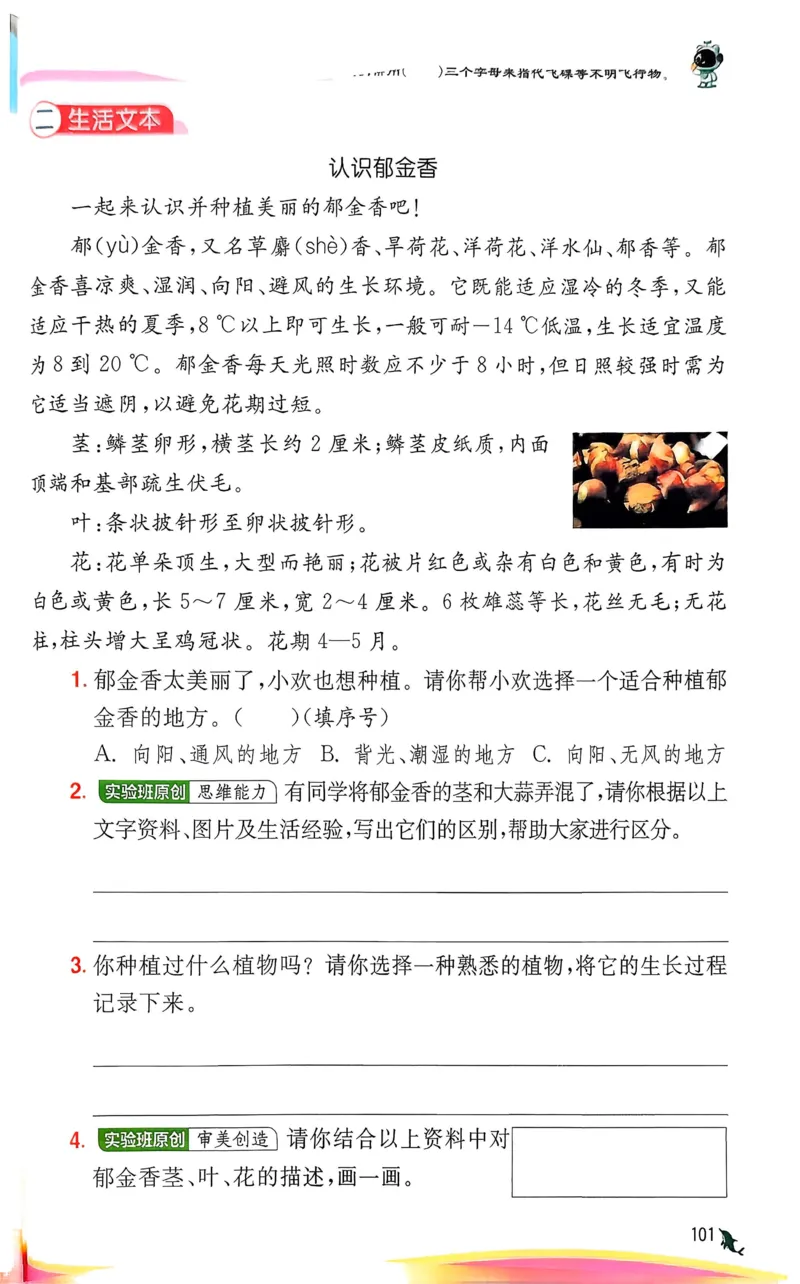 语文实验班二下（含答案）_2026春人教语文《实验班提优训练》_2026春《实验班提优训练》语文RJ2下