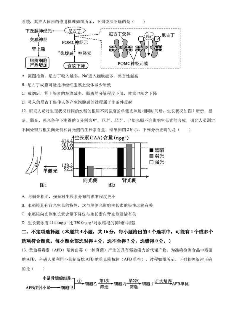 精品解析：湖南长沙市第一中学2025-2026学年高二下学期开学生物试题（原卷版）_副本_2026年03月高二试卷_260325湖南长沙一中2025-2026学年高二下学期3月入学考试全科