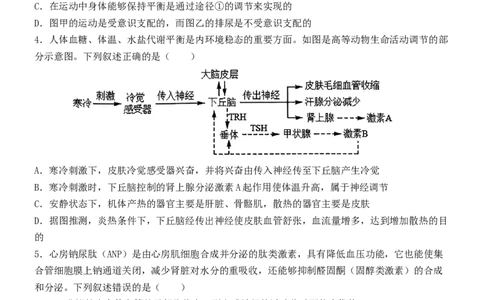 大庆铁人中学2024级高二年级下学期开学考试生物试题_2026年03月高二试卷_260317黑龙江省大庆铁人中学2025-2026学年高二下学期开学考试（全科）