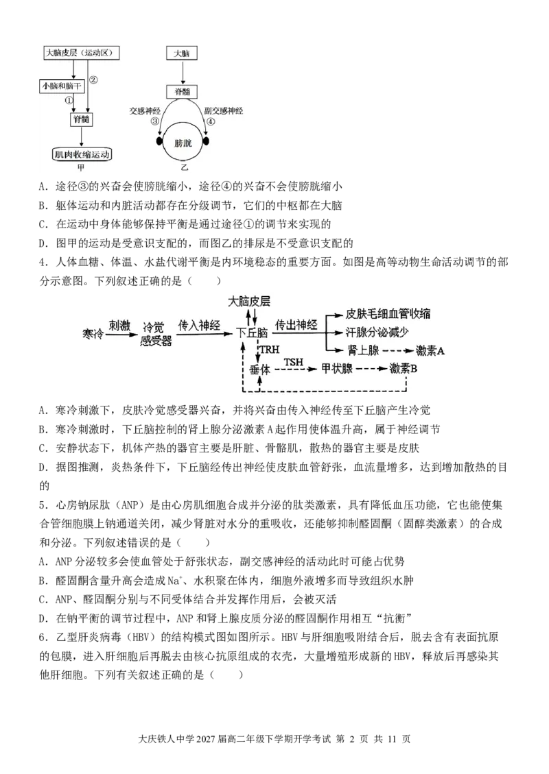 大庆铁人中学2024级高二年级下学期开学考试生物试题_2026年03月高二试卷_260317黑龙江省大庆铁人中学2025-2026学年高二下学期开学考试（全科）