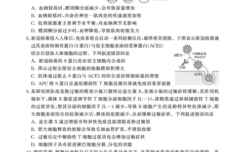 高二期末生物B卷-SY_2026年02月高二试卷_260209安徽省鼎尖联考2025-2026学年高二上学期过程性学科素质评价试题（全）