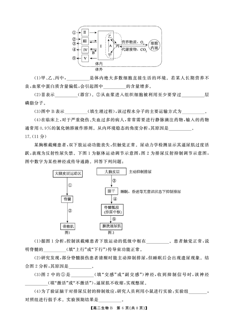 高二期末生物B卷-SY_2026年02月高二试卷_260209安徽省鼎尖联考2025-2026学年高二上学期过程性学科素质评价试题（全）
