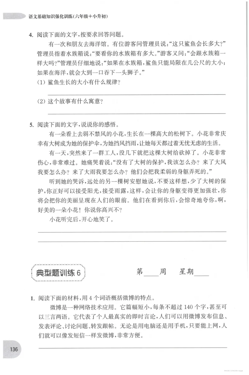 语文基础--6年级_2026春小学教辅大合集_10-26春《周计划》小学语数英系列_周计划-小学语文基础知识强化