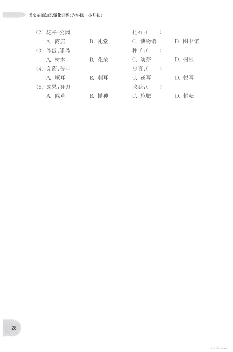 语文基础--6年级_2026春小学教辅大合集_10-26春《周计划》小学语数英系列_周计划-小学语文基础知识强化