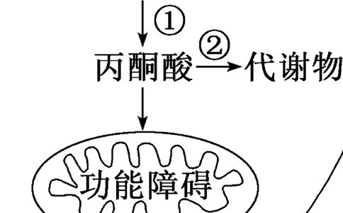四川省泸州市三校联盟2025-2026学年高二上学期第一次联合考试生物学试题（试卷）_2026年02月高二试卷_260206四川省泸州市三校联盟2025-2026学年高二上学期第一次联合考试（全）
