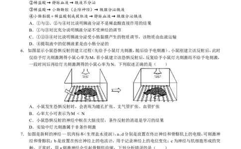 四川省泸州市三校联盟2025-2026学年高二上学期第一次联合考试生物学试题（试卷）_2026年02月高二试卷_260206四川省泸州市三校联盟2025-2026学年高二上学期第一次联合考试（全）