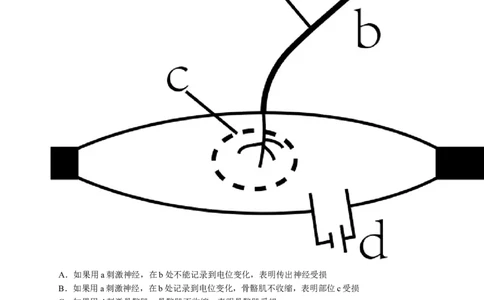 四川省泸州市三校联盟2025-2026学年高二上学期第一次联合考试生物学试题（试卷）_2026年02月高二试卷_260206四川省泸州市三校联盟2025-2026学年高二上学期第一次联合考试（全）