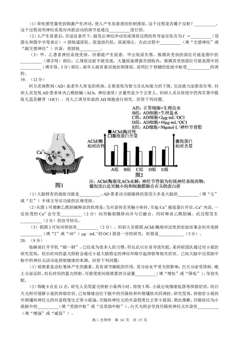 四川省泸州市三校联盟2025-2026学年高二上学期第一次联合考试生物学试题（试卷）_2026年02月高二试卷_260206四川省泸州市三校联盟2025-2026学年高二上学期第一次联合考试（全）