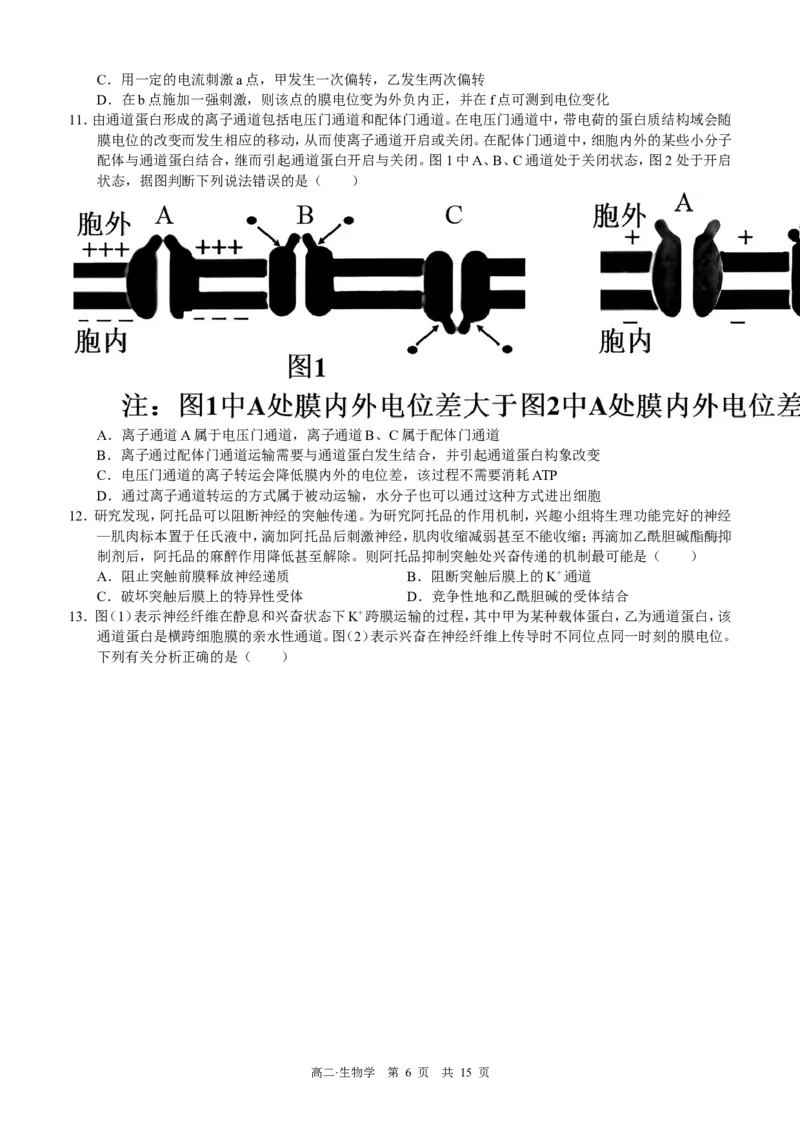 四川省泸州市三校联盟2025-2026学年高二上学期第一次联合考试生物学试题（试卷）_2026年02月高二试卷_260206四川省泸州市三校联盟2025-2026学年高二上学期第一次联合考试（全）