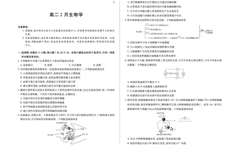 安徽省合肥六中等学校2024级高二上学期2月期末考试生物_2026年02月高二试卷_260214安徽省合肥六中等学校2024级高二上学期2月期末考试（全科）