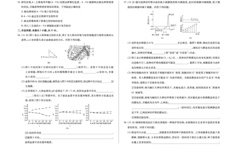 安徽省合肥六中等学校2024级高二上学期2月期末考试生物_2026年02月高二试卷_260214安徽省合肥六中等学校2024级高二上学期2月期末考试（全科）