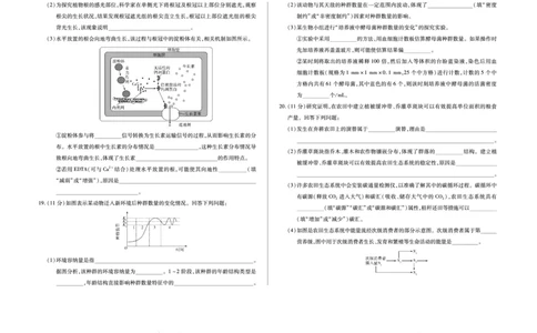 安徽省合肥六中等学校2024级高二上学期2月期末考试生物_2026年02月高二试卷_260214安徽省合肥六中等学校2024级高二上学期2月期末考试（全科）