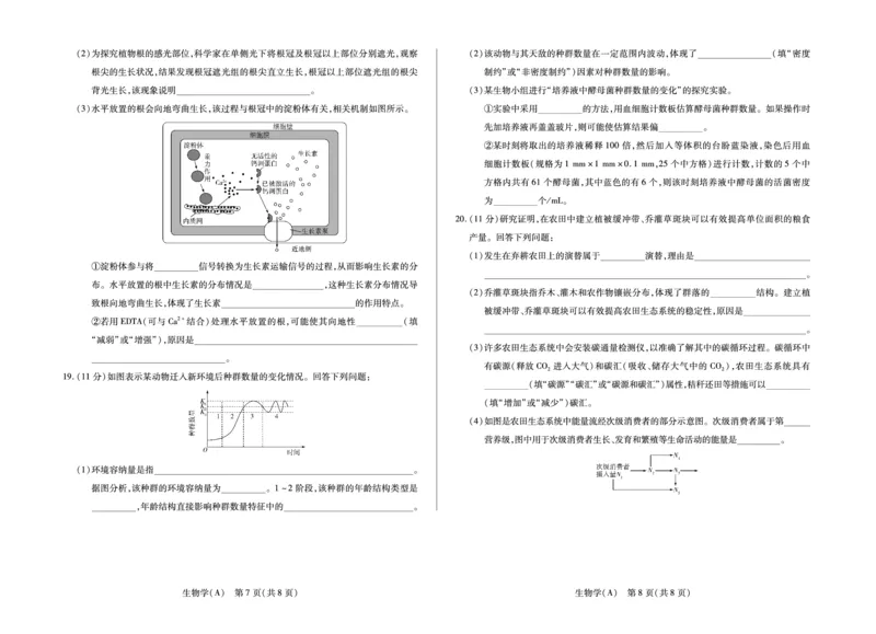 安徽省合肥六中等学校2024级高二上学期2月期末考试生物_2026年02月高二试卷_260214安徽省合肥六中等学校2024级高二上学期2月期末考试（全科）