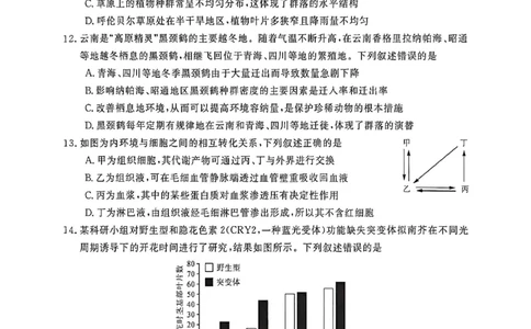 钦州2025-2026秋季期末高二生物试卷_2026年02月高二试卷_260205广西钦州市2025-2026高二上学期期末教学质量检测（全）
