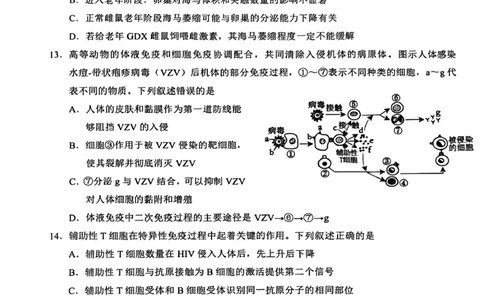 湖北省云学联盟2025-2026学年高二下学期3月学科素养测评生物试卷（含答案）_2026年03月高二试卷_260329湖北省云学联盟2025-2026学年高二下学期3月学科素养测评