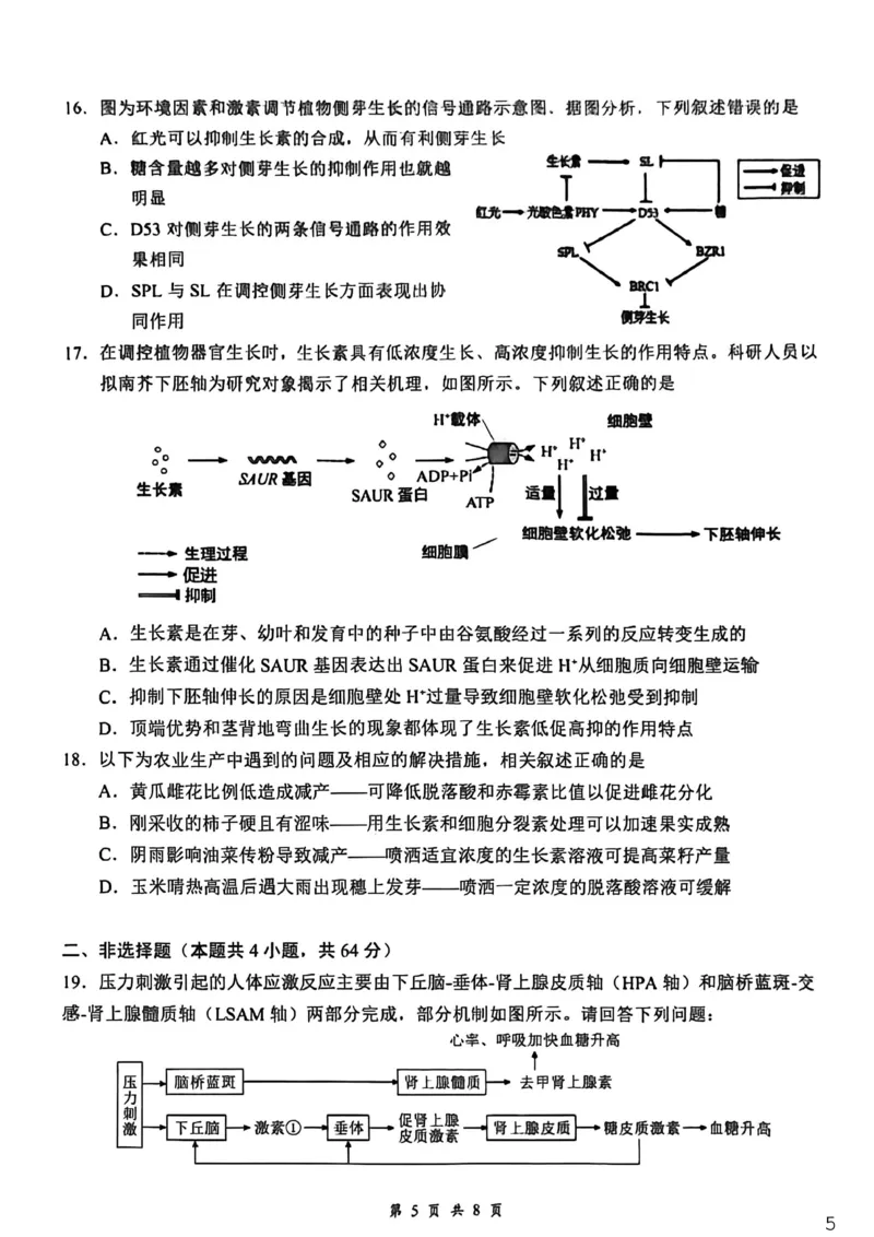 湖北省云学联盟2025-2026学年高二下学期3月学科素养测评生物试卷（含答案）_2026年03月高二试卷_260329湖北省云学联盟2025-2026学年高二下学期3月学科素养测评