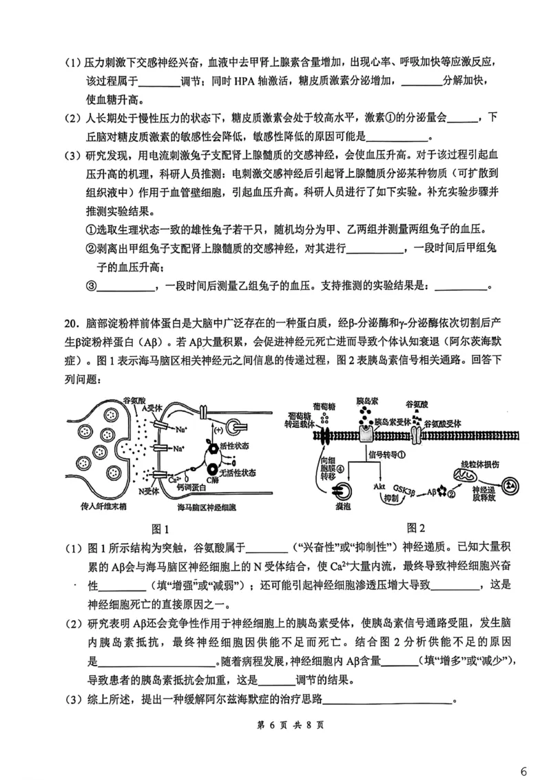 湖北省云学联盟2025-2026学年高二下学期3月学科素养测评生物试卷（含答案）_2026年03月高二试卷_260329湖北省云学联盟2025-2026学年高二下学期3月学科素养测评