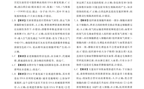 高二年级1月份自测生物答案A版_2026年02月高二试卷_260203广东省衡水金卷2027届高二年级1月份期末自测（全）