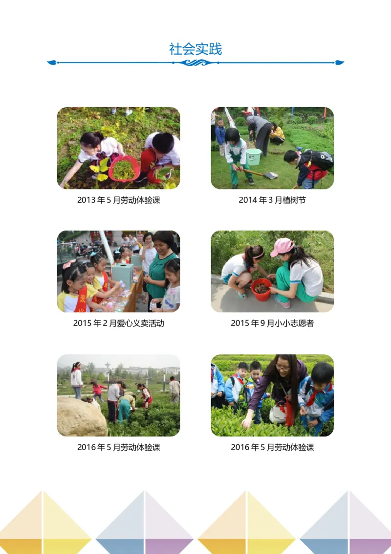 升学君整理铅笔简约-小升初简历模板_小升初《学生简历模板》单页+多页_66份小升初简历整理