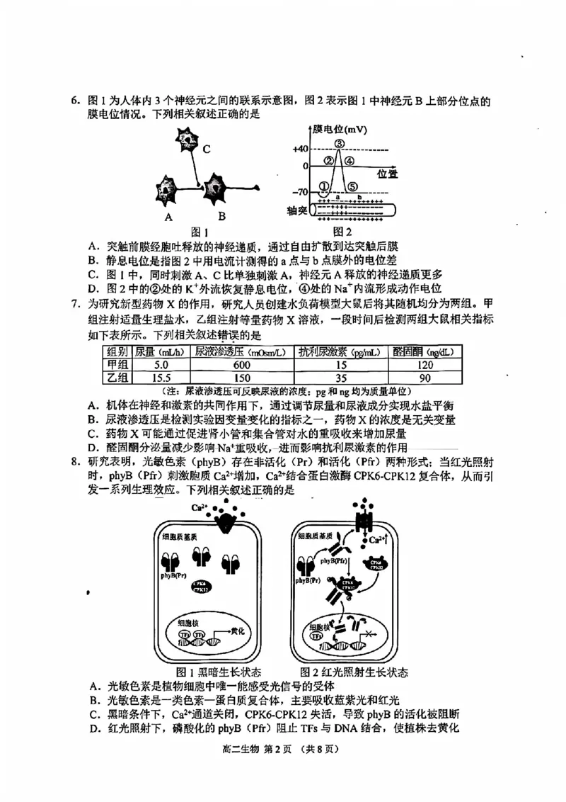生物试题卷_2026年02月高二试卷_260219江苏省苏州市2025-2026学年度高二上学期期末考试（全）_江苏苏州市2025-2026学年高二上学期期末考试生物试题（含答案）