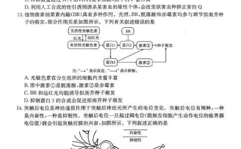 生物_2026年02月高二试卷_260203金太阳&middot;广东省2027届高二上学期1月期末联考248B（全）