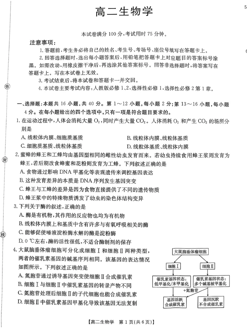 生物_2026年02月高二试卷_260203金太阳&middot;广东省2027届高二上学期1月期末联考248B（全）