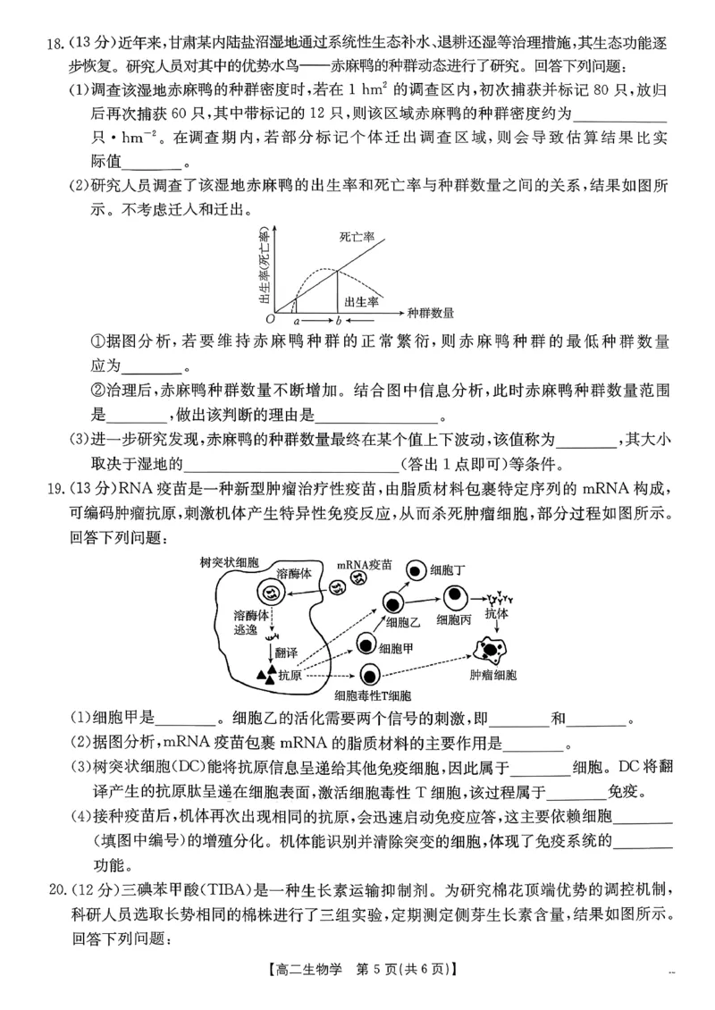 生物_2026年02月高二试卷_260203金太阳&middot;广东省2027届高二上学期1月期末联考248B（全）