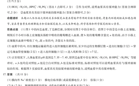 安徽省合肥六中等学校2024级高二上学期2月期末考试生物答案_2026年02月高二试卷_260214安徽省合肥六中等学校2024级高二上学期2月期末考试（全科）