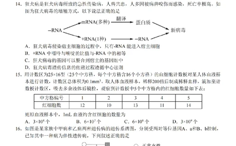 生物卷-2601宁波九校高二期末_2026年02月高二试卷_260216浙江省宁波市九校2025-2026学年高二上学期期末联考（全）