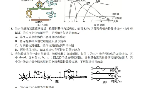 生物卷-2601宁波九校高二期末_2026年02月高二试卷_260216浙江省宁波市九校2025-2026学年高二上学期期末联考（全）