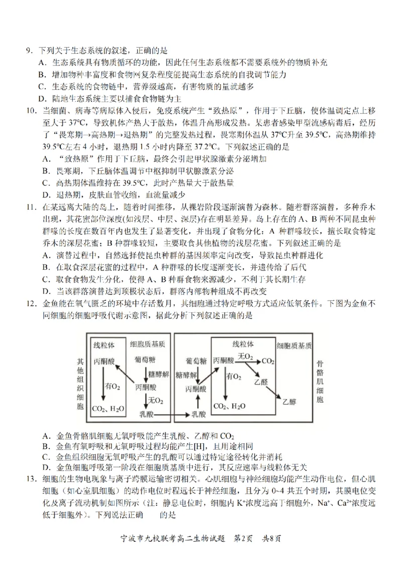 生物卷-2601宁波九校高二期末_2026年02月高二试卷_260216浙江省宁波市九校2025-2026学年高二上学期期末联考（全）