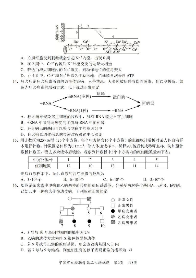 生物卷-2601宁波九校高二期末_2026年02月高二试卷_260216浙江省宁波市九校2025-2026学年高二上学期期末联考（全）