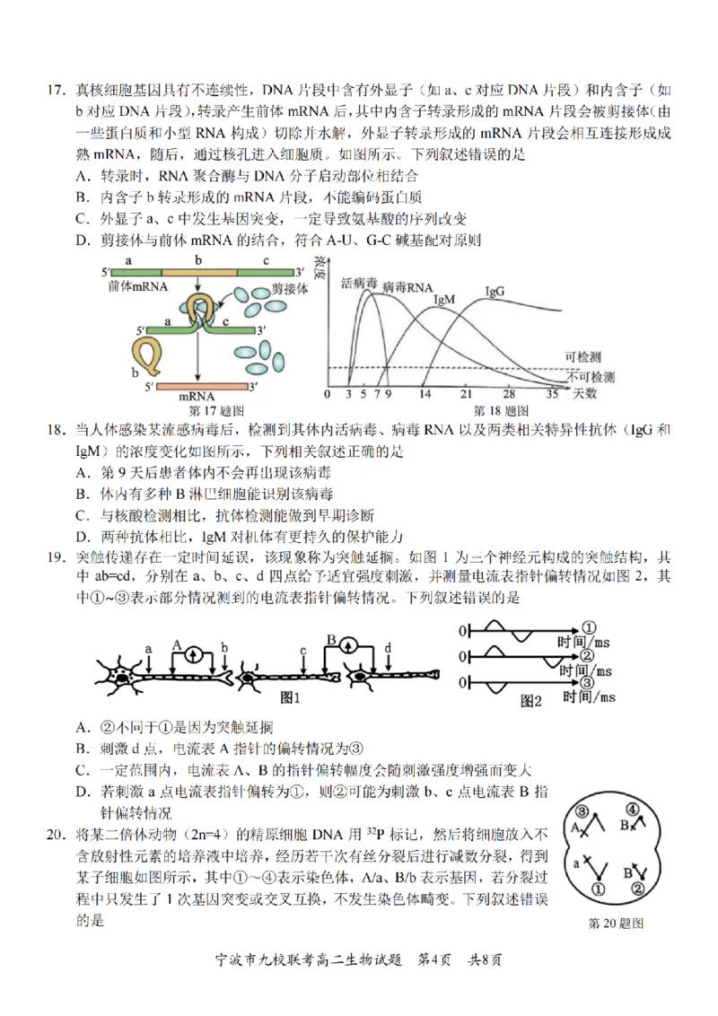 生物卷-2601宁波九校高二期末_2026年02月高二试卷_260216浙江省宁波市九校2025-2026学年高二上学期期末联考（全）