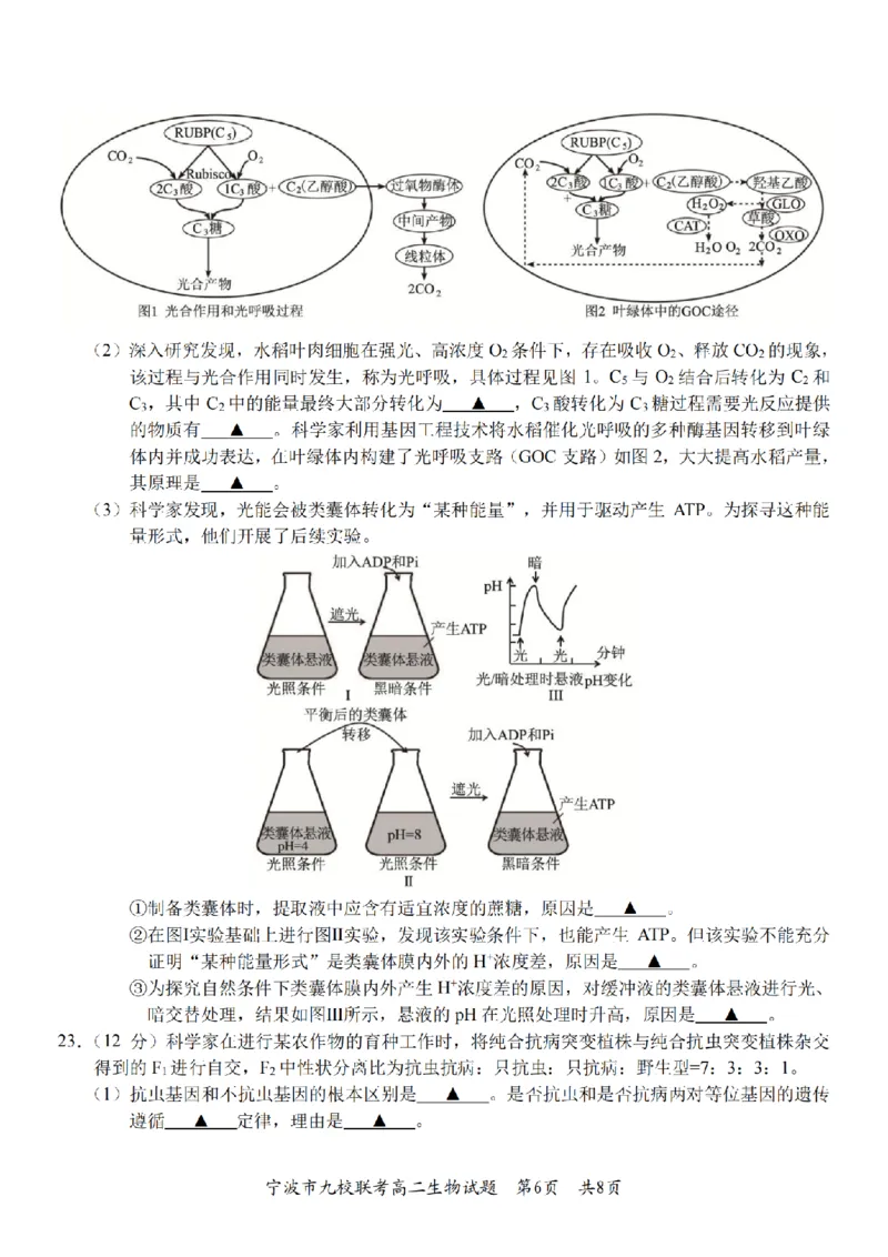 生物卷-2601宁波九校高二期末_2026年02月高二试卷_260216浙江省宁波市九校2025-2026学年高二上学期期末联考（全）