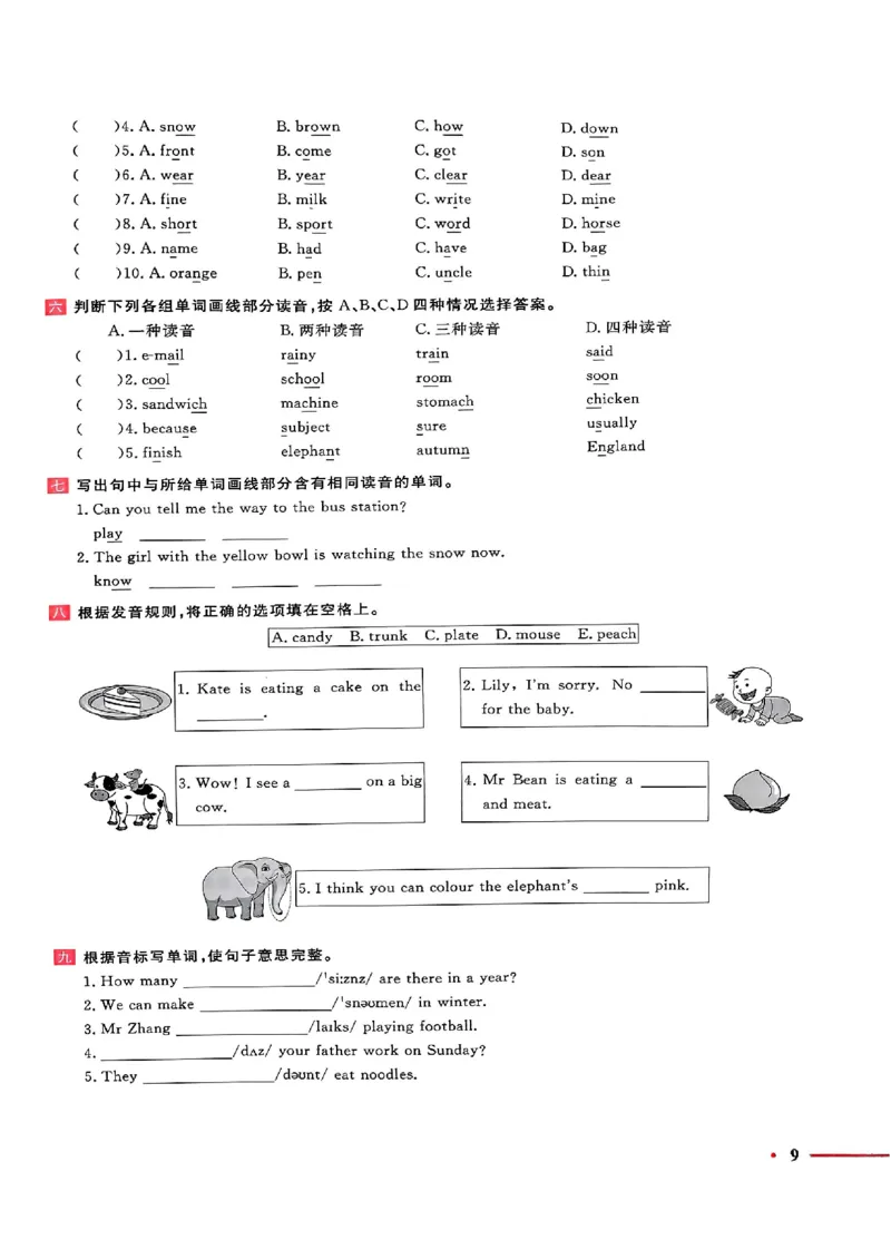 小升初英语《阳光同学冲刺48天》测评版_小升初冲刺48天（语数英）_小升初英语《阳光同学冲刺48天》