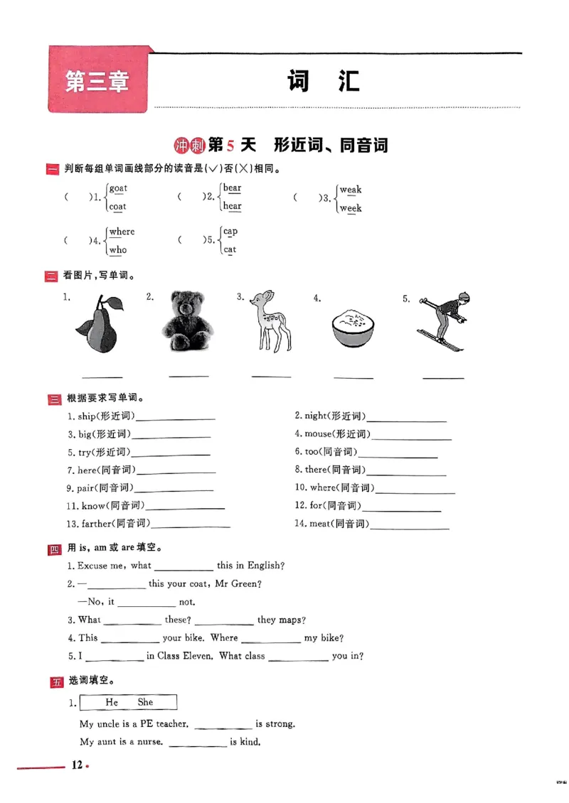 小升初英语《阳光同学冲刺48天》测评版_小升初冲刺48天（语数英）_小升初英语《阳光同学冲刺48天》
