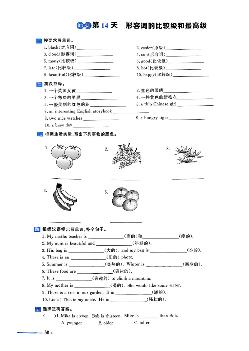 小升初英语《阳光同学冲刺48天》测评版_小升初冲刺48天（语数英）_小升初英语《阳光同学冲刺48天》