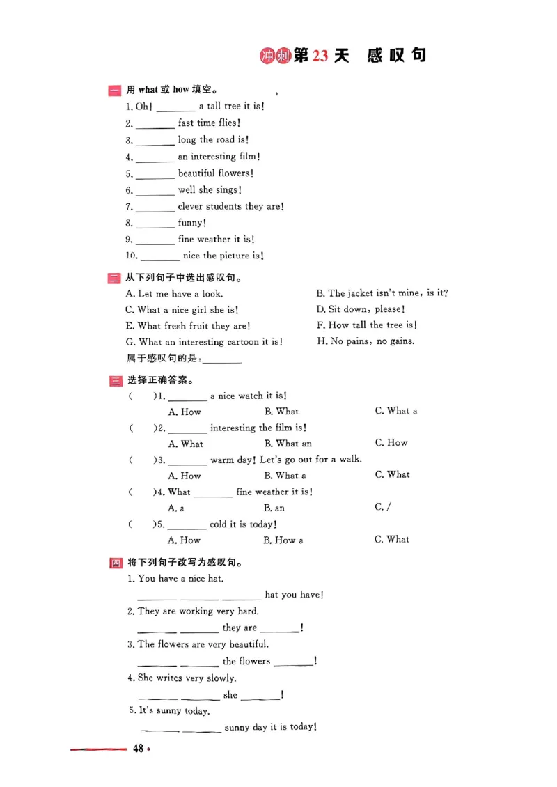 小升初英语《阳光同学冲刺48天》测评版_小升初冲刺48天（语数英）_小升初英语《阳光同学冲刺48天》