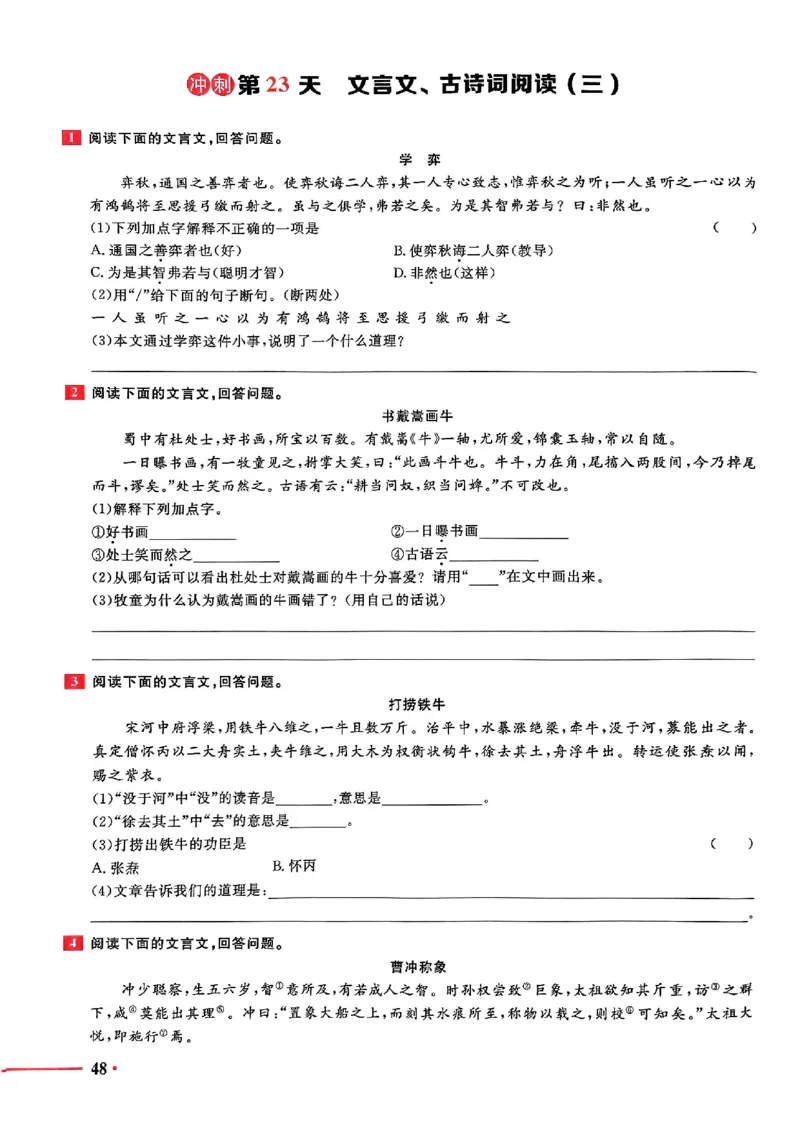 小升初语文《阳光同学冲刺48天》测评版_小升初冲刺48天（语数英）_小升初语文《阳光同学冲刺48天》